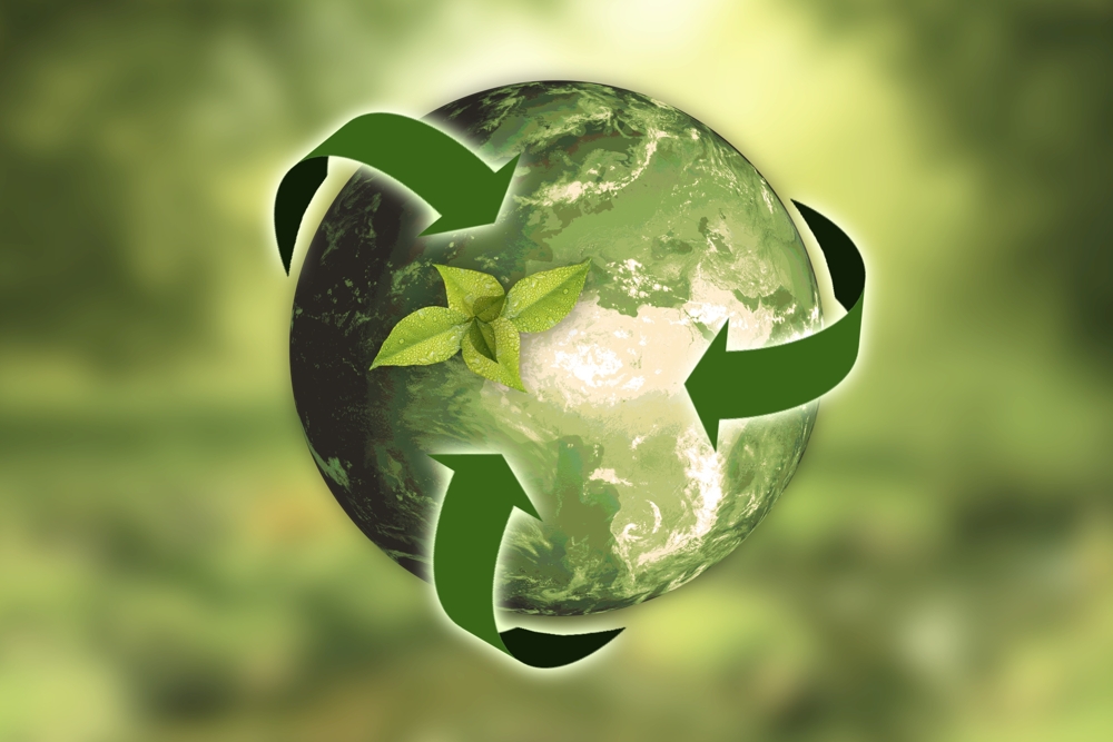 Nachhaltige Beschaffung sollte in jedem Unternehmen verankert sein. Abbildung: Pixabay