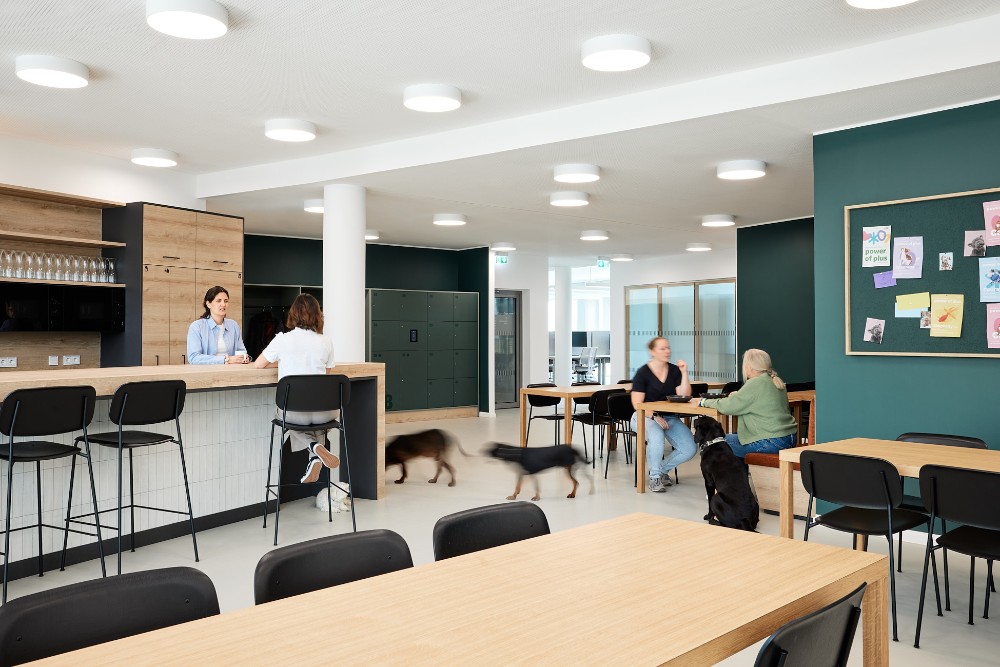 Die neuen Arbeitsbereiche in der Zooplus-Zentrale in München. Abbildung: Laura Thiesbrummel